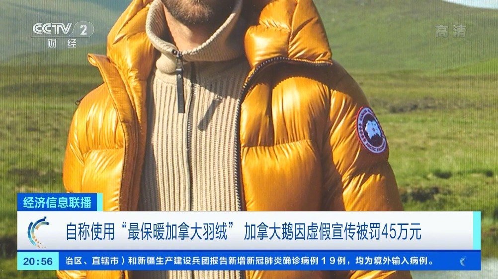 【加拿大鹅最保暖羽绒为虚假广告 专家:禽鸟品种相同情况下,羽绒品质和产地无关】知名国际羽绒