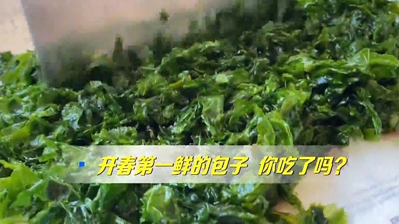 在威海人眼里,海菜是这个季节,当之无愧的“春季第一鲜”,俗话说“蚬子鲜嘴,海蛎子鲜胃,海菜