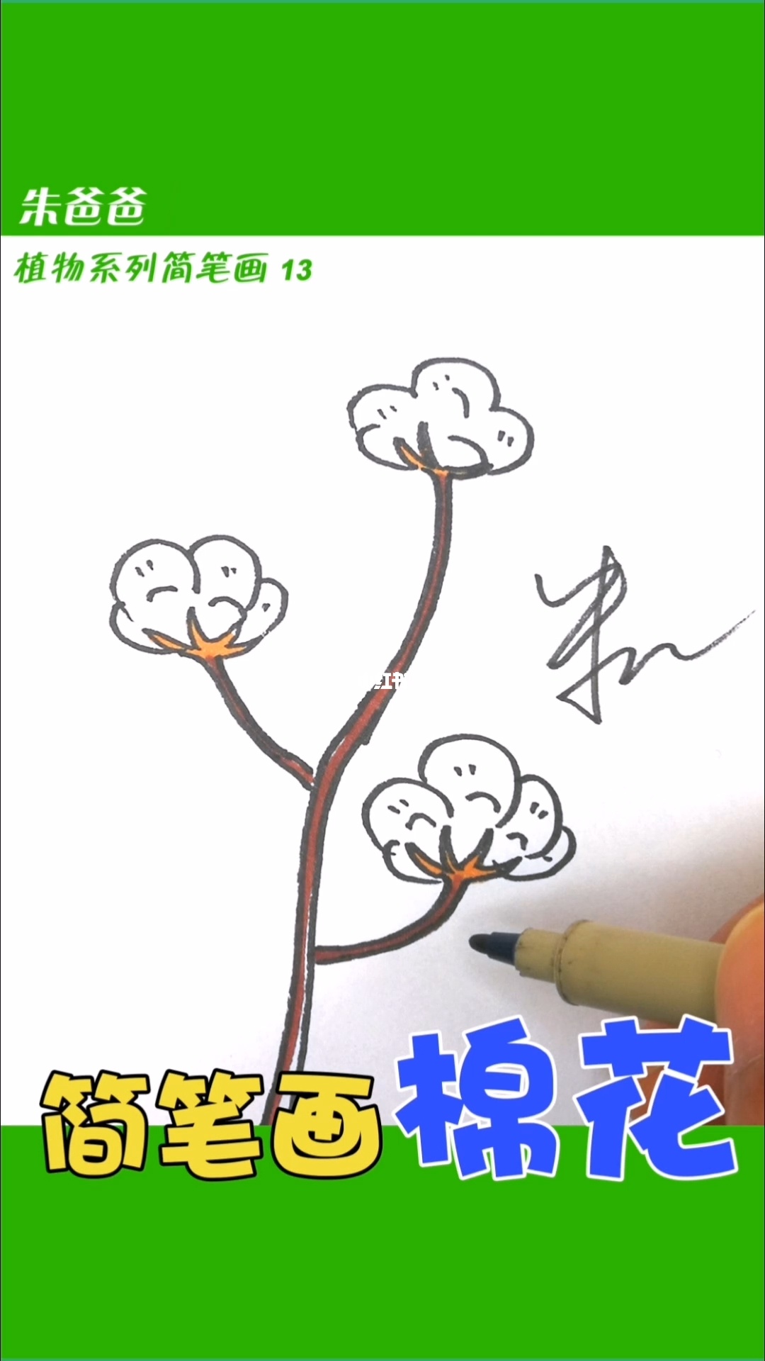 朱爸爸画棉花 支持国产新疆棉花哈 #简笔画丨96次 
