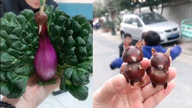 【爸爸陪孩子用蔬菜做动物 妈妈:儿子上学后发现的才华】鲜红的甜椒大龙虾、金黄的柚子招财猫、