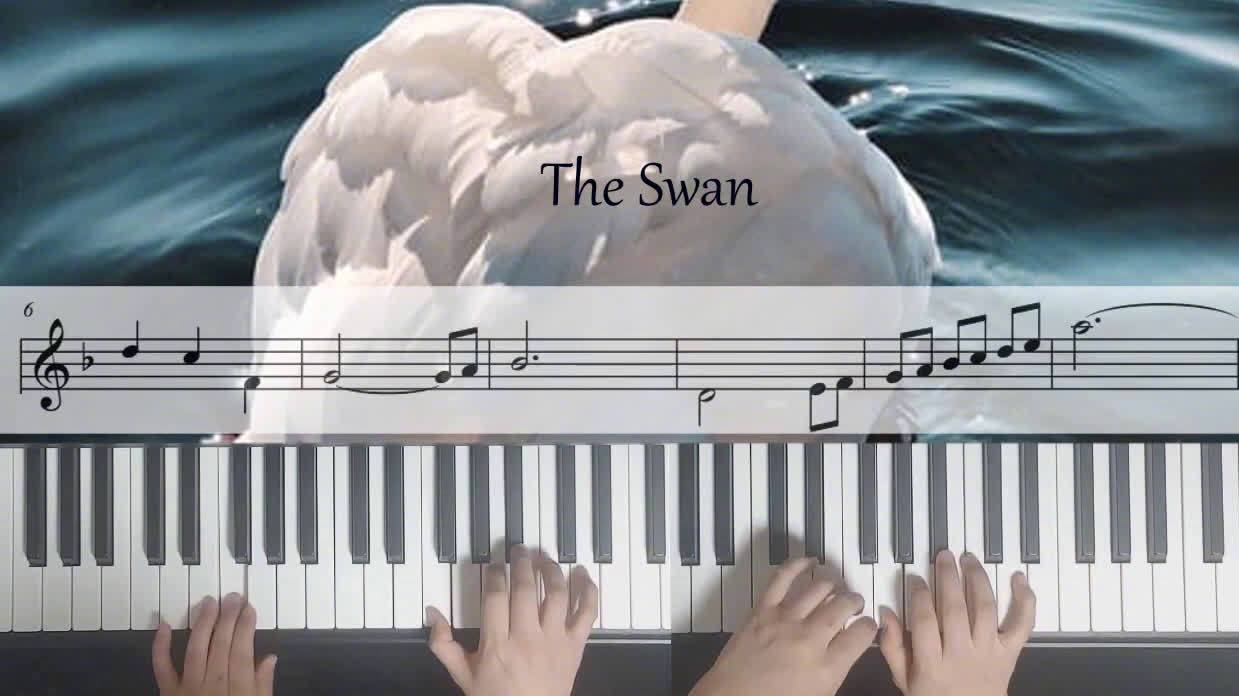 钢琴四手联弹:圣桑《天鹅》 《天鹅》是法国作曲家圣-桑所作的管弦乐组曲《动物狂欢节》中流传