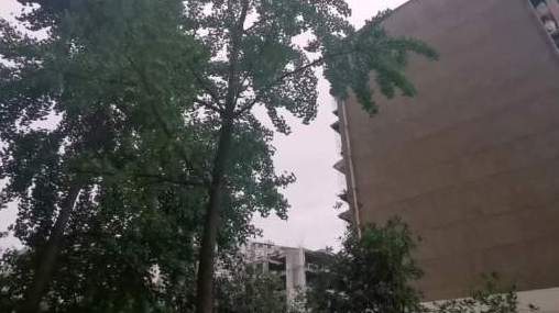 【这些“蓝骑士” 使命有点酷】在武侯区晋阳街道,外卖员、快递员有个新名字叫“蓝骑士”,他们