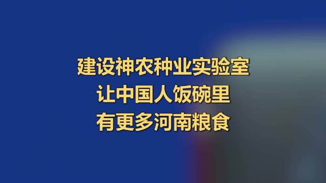 【建设神农种业实验室,让中国人饭碗里有更多河南粮食】9月24日,在河南省政府新闻办举办的河