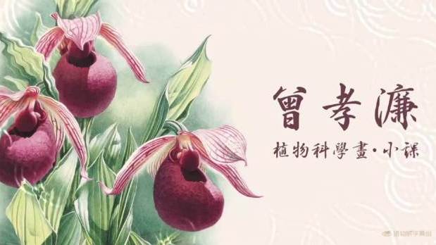 曾孝濂大师植物科学画培训教程植物科学画 感谢大家的等待,《大师小课》·鸡蛋花(上)篇来了!