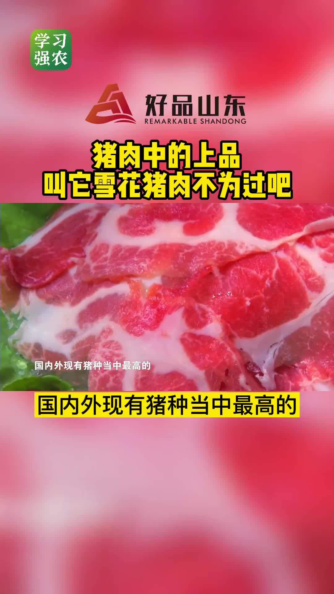 【好品山东丨猪肉中的上品,请叫它“雪花猪肉”】  