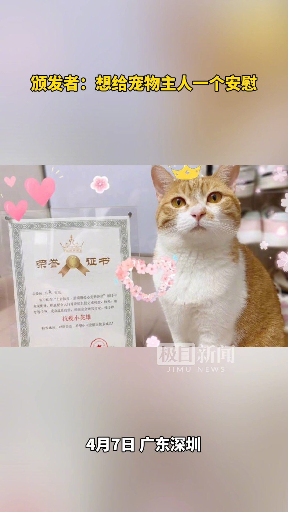 #宠物不该沦为疫情的牺牲品# 【#深圳201只宠物获抗疫小英雄证书#,颁发者:想给隔离主人