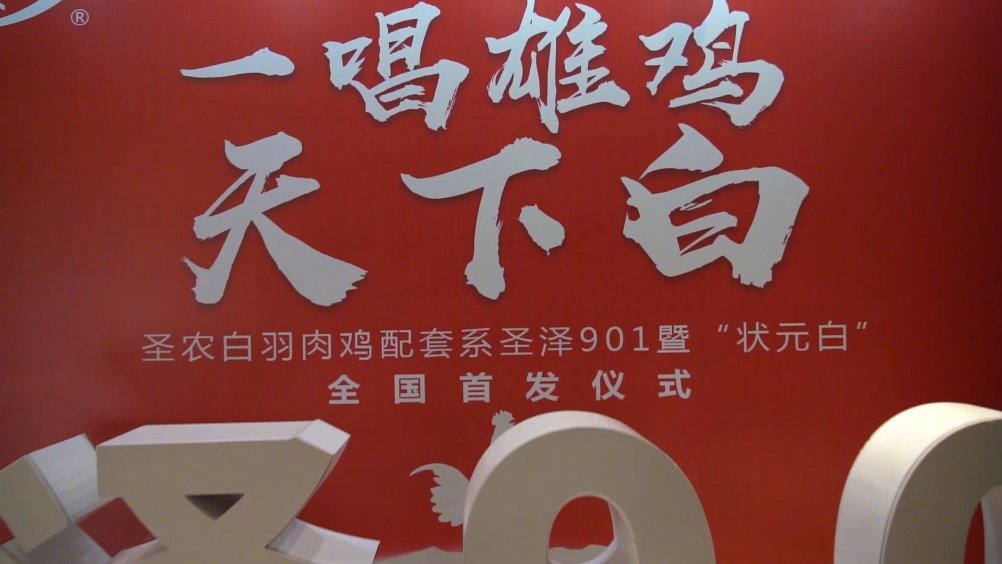 一场仪式,不只一个宣告!圣泽901暨“状元白”全国首发仪式上,圣农创造人傅光明、董事长傅芬