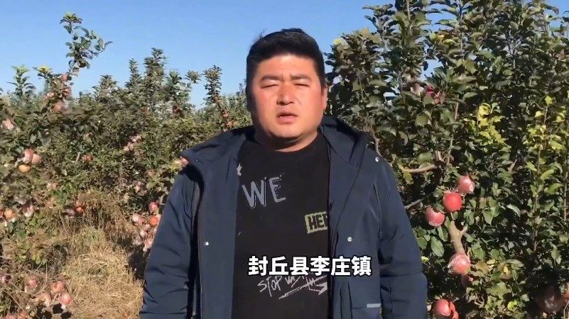 【新乡一镇千亩苹果大丰收,村民却愁得直挠头:不会销售也没渠道】近日,地处黄河滩区的封丘县李