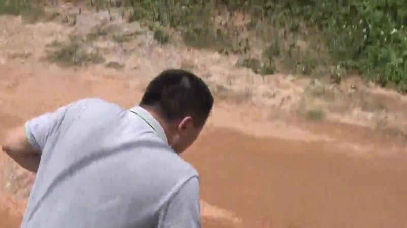 【辛苦养殖甲鱼被偷 嫌疑人只为一饱口福】阿乐退伍之后在老家一处偏僻山脚承包了一片水塘养甲鱼