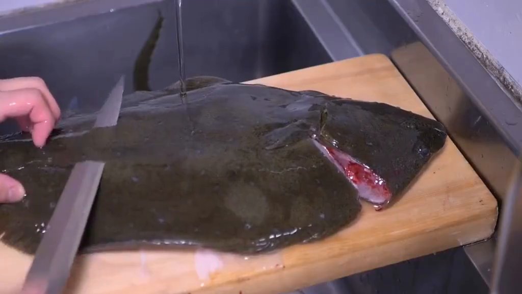 比目鱼-鲆鱼,长得丑的鱼一般都挺好吃的#十一月连更挑战# #出道吧新星# 