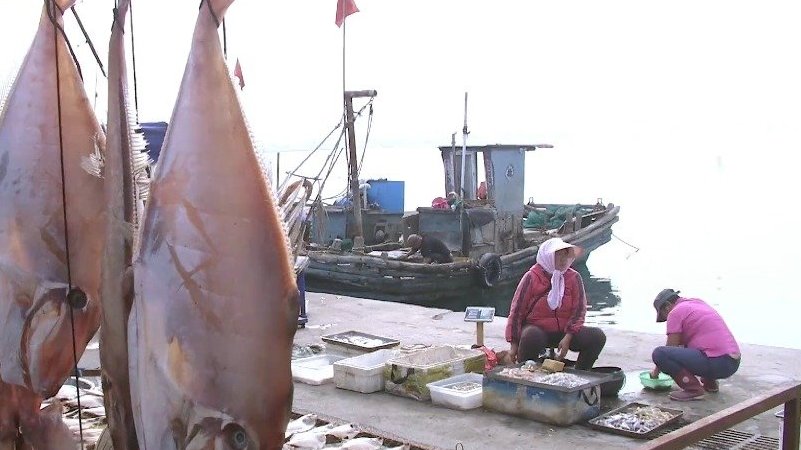 【北风吹香甜晒鱼 “600岁”的青岛秋冬季限定美食上线!】 对于青岛人来说,每年深秋初冬时