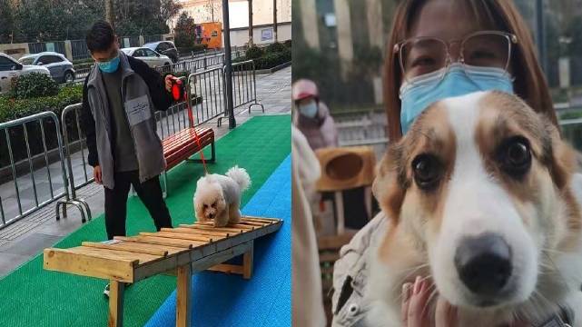 【宠物专属游乐园在小区、商场纷纷“上线”,能否缓解“人犬冲突”,解决“养犬难”?】其实养犬
