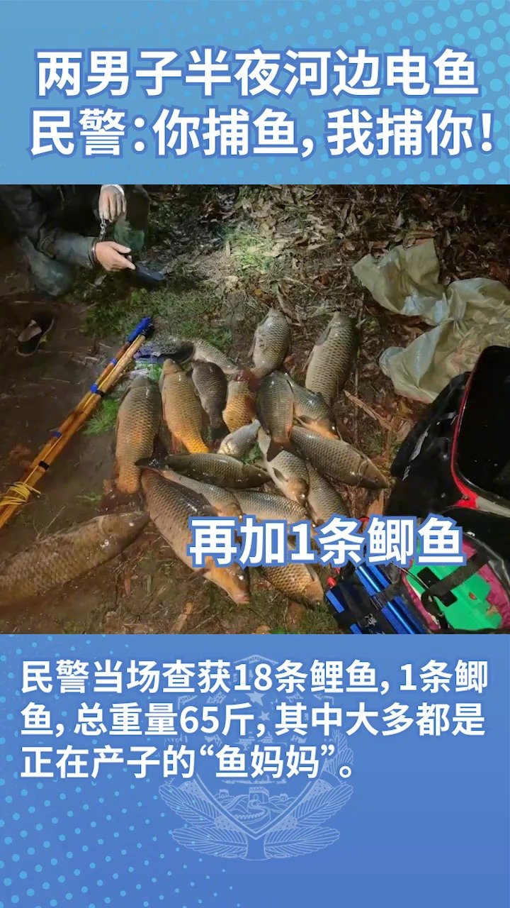 #长江禁渔行动# 【#男子凌晨非法捕捞鱼妈妈60多斤# 警方:抓!】#不破案对不起我们警察