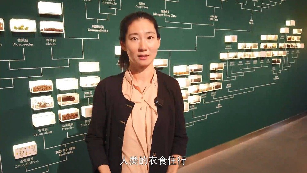 【VLOG丨领略生物多样性之美 打卡神奇的种子博物馆】十月的昆明,万物生长,百花绽放。联合