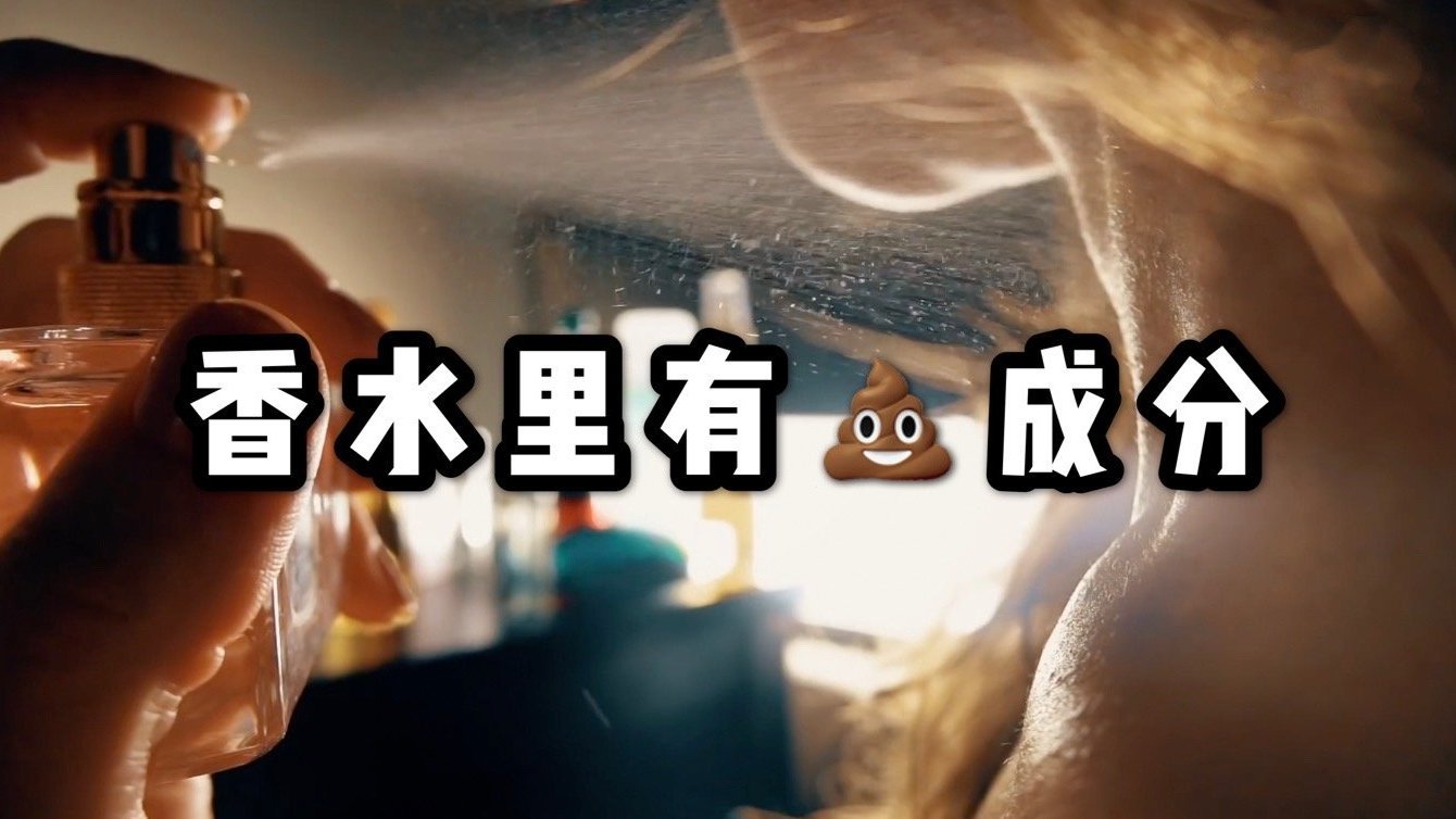 【别拿我的便便做香水】可能你用的香水里有抹香鲸的便便哟 龙涎香是抹香鲸肠道内的分泌物,其特