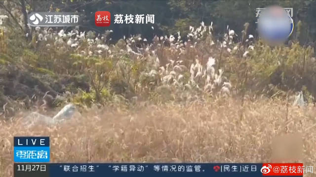 【泪目,“好久不见”!民警帮病重老人找到亡妻唯一照片】南京张女士的母亲于1995年去世,当