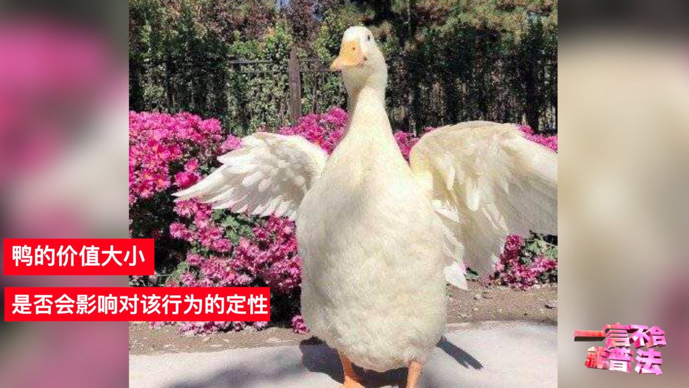 【律师解读宠物鸭被拎走弄死 :抓鸭人是否认识到这只鸭有多贵有关 】7月3日,演员王珞丹微博
