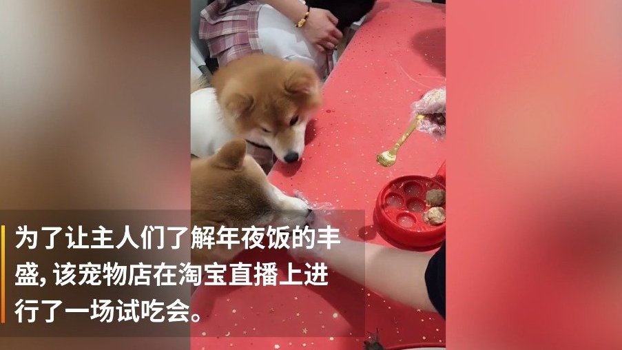 【宠物也可以过年 上海宠物店推出狗狗满汉全席年夜饭】近日,上海一宠物店推出狗狗版“满汉全席