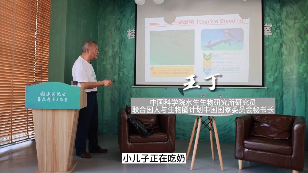 【吃口奶可真不容易!江豚宝宝3个月开始添加小鱼辅食】作为哺乳动物的江豚,跟人类养育幼崽有许