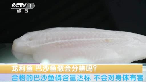 【龙利鱼、巴沙鱼,“身价”大不同!】龙利鱼和巴沙鱼都是市场上常见的水产食材,但最近有传言说