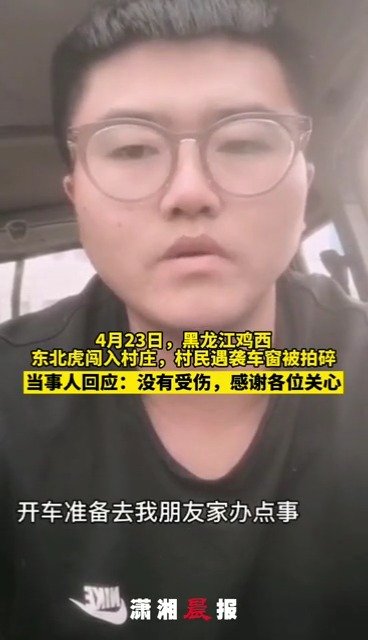 【东北虎拍碎车窗当事人发声:车开得慢被老虎追上 没有受伤】23日,黑龙江鸡西市某村庄闯进一