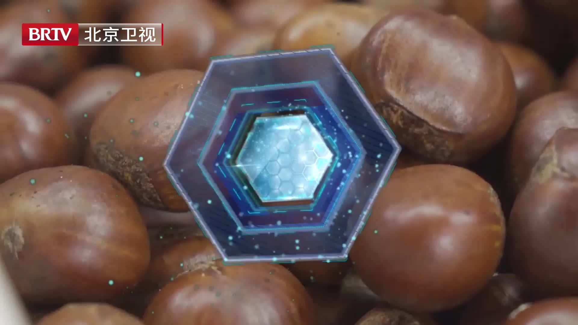 适合今年秋天的益气化湿果原来是栗子。栗子不光是大家秋冬爱吃的美食,在《本草纲目》上就有记载