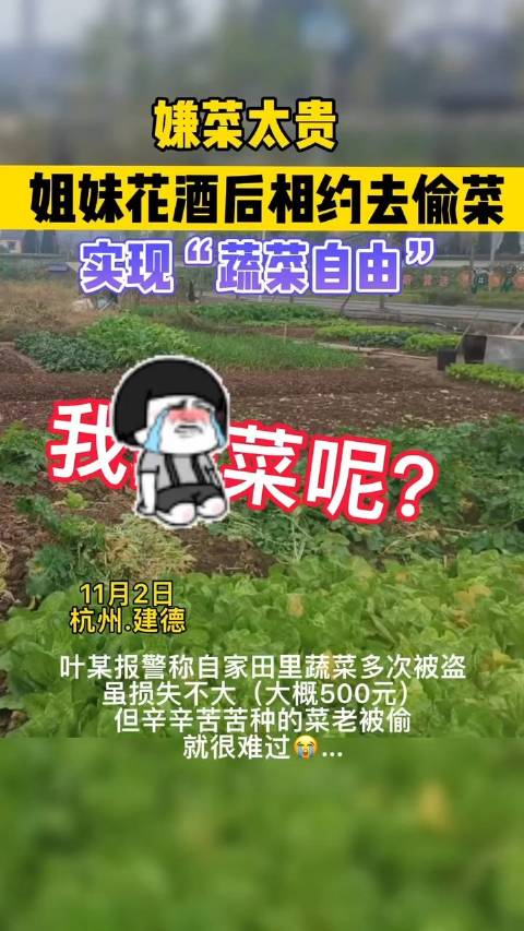 【两“姐妹”嫌菜太贵酒后相约去偷菜被抓】近日,民警接到叶阿姨报警称:最近一周,自家田中蔬菜