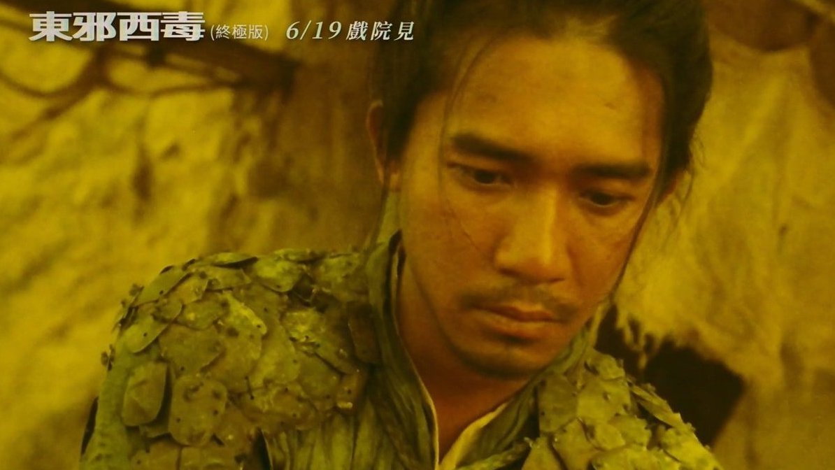 王家卫导演,张国荣、林青霞、梁朝伟、张曼玉、梁家辉、张学友、刘嘉玲、杨采妮等出演的经典武侠
