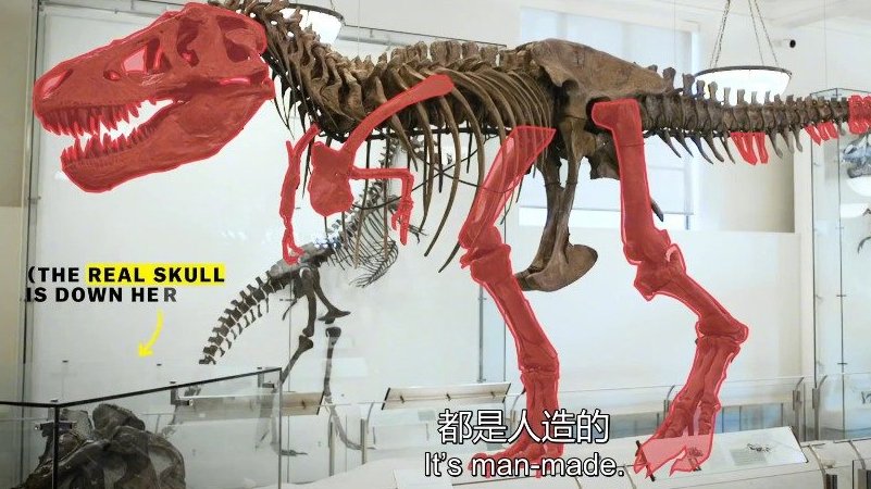 【人类如何拼出恐龙骨骼】直到1990年,人类还拼不出来完整的恐龙骨骼。那时候的博物馆里,虽