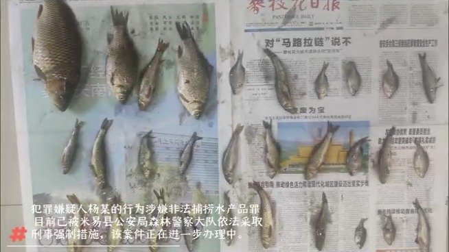 #网警聊警事# 【#男子使用迷魂阵渔网捕鱼被抓#】#长江禁渔行动# 总有人贪那一嘴“河鲜”