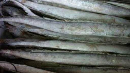 【急寻阳性进口带鱼同批次产品买家:共售出十件】11月9日,黑龙江尚志市应对新冠疫情防控工作