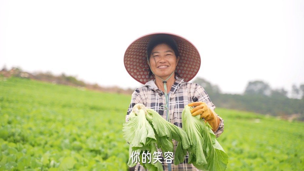 #央企春耕图鉴#【“农”情绿意 万象“耕”新】又是一年春来时,南粤大地逐渐回暖,田间大棚一