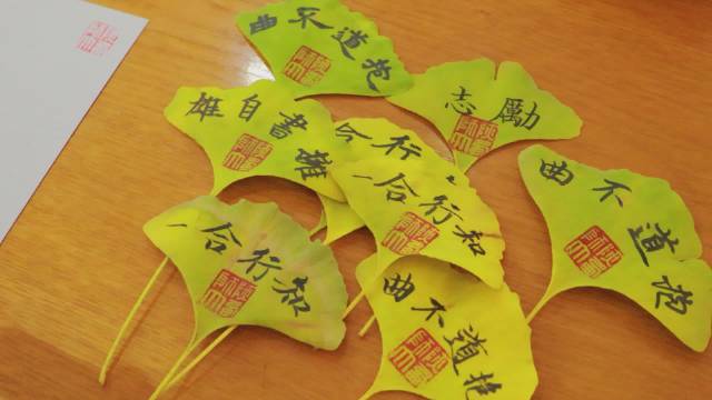 【高校为新生准备银杏叶书签心意满满】金秋题叶,共享书香。陕师大人书写秋叶诗意,将秋天的浪漫