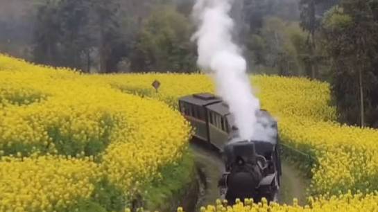 【春光明媚!四川有辆开往春日的小火车】近日,四川乐山。犍为县芭沟镇春暖花开,鸟语花香。坐上
