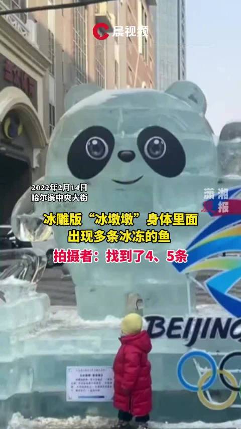【#冰雕版冰墩墩身体里有鱼#,网友:墩墩有鱼—顿顿有鱼[笑哭]】2月14日,黑龙江哈尔滨,
