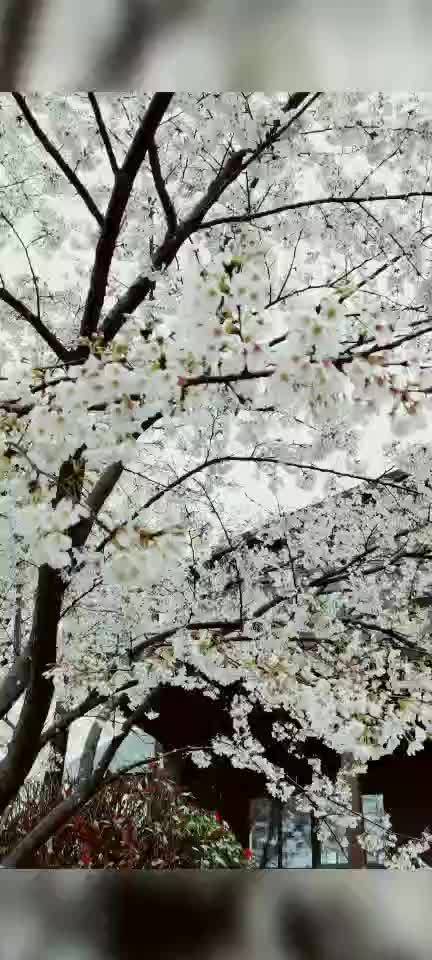 明天,来自三十三名自媒体人汇聚三瓜公社 武林大会英雄楼,参加三瓜公社自媒体英雄会三月三长三