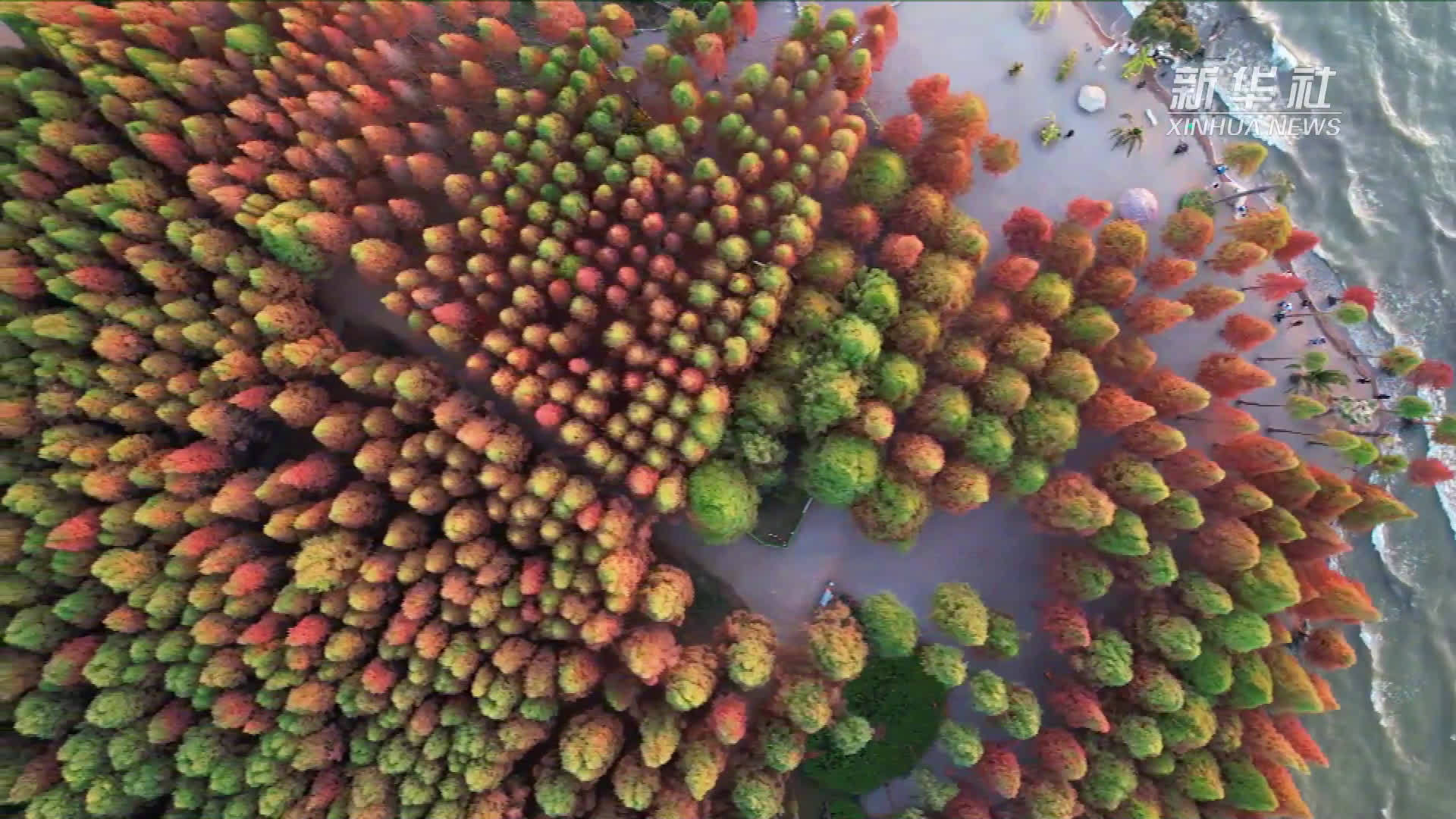 云南文旅 【宛如画作的昆明捞鱼河湿地公园】昆明捞鱼河湿地公园位于滇池东岸,是一个环保型的自