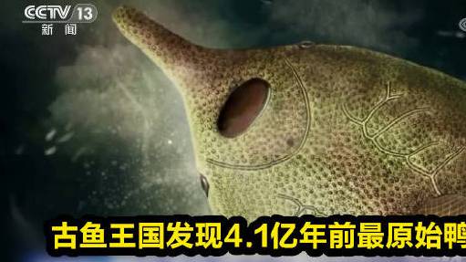 【古鱼王国发现4.1亿年前最原始鸭吻鱼类】近日,中科院古脊椎所、山东科技大学和曲靖师范学院