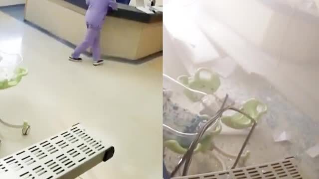 【触目惊心!黎巴嫩多家医院监控还原爆炸瞬间 】日前黎巴嫩首都贝鲁特港口区发生剧烈爆炸,造成