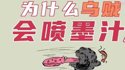 人类首次拍到活的公羊角乌贼科普:为什么乌贼会喷出墨汁? 