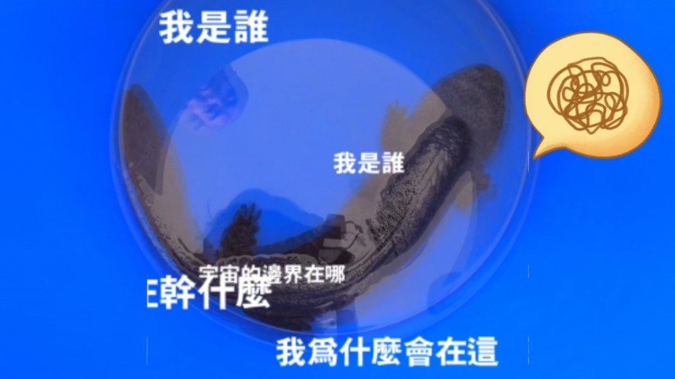 【轻轻地我走了 正如我轻轻地来】平安2020 近日,湖北宜城市雷河发展区村民李某在沟渠捞虾