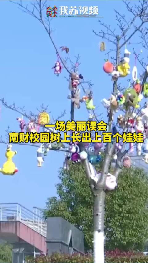 【美丽的误会!南京一大学一夜长出许愿娃娃树】近日,南京财经大学校园内一棵树变得格外萌萌哒,