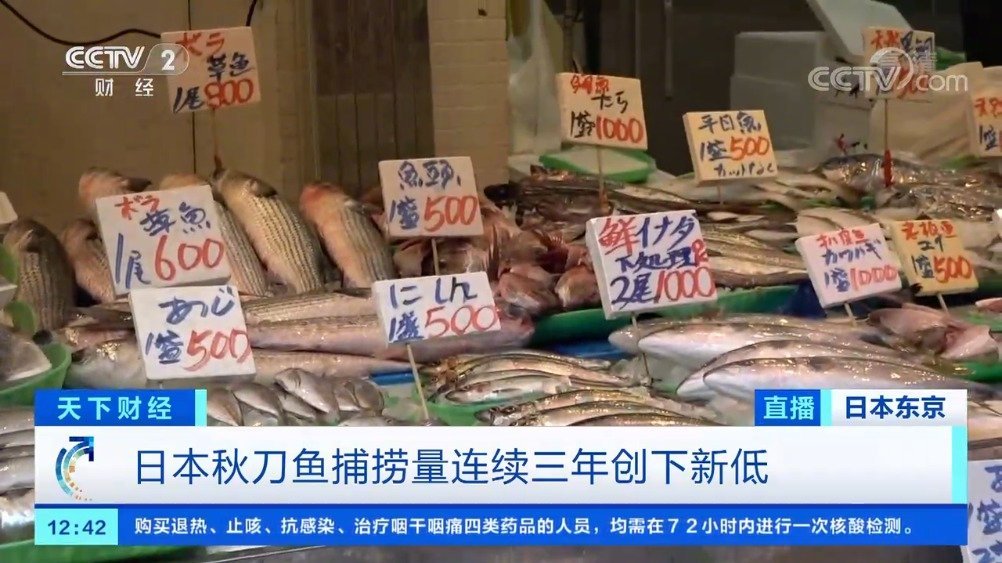 【日本秋刀鱼价格飙升约3倍,“平民美食”不再平民】在日本,秋刀鱼因物美价廉而被誉为“平民美