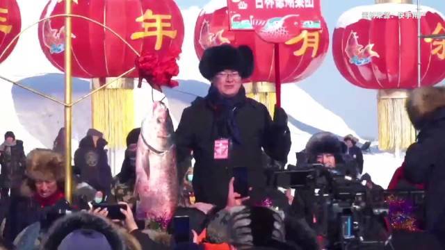 【吉林松原查干湖冬捕头鱼拍出2999999元 网友:我干一辈子身价不如一条鱼 】12月28