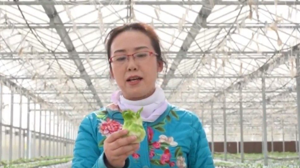 【四川给武汉同胞送去的儿菜怎么吃?广汉副市长儿菜烹饪硬核教学】新冠疫情期间,农业大省的四川