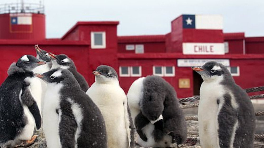 【最后一块大陆南极洲沦陷!专家建议对企鹅进行核酸检测】据Sky news报道,智利南极基地