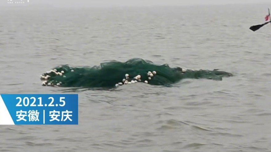 【安庆宿松14名村民坐船捕鱼,船只侧翻10人遇难1人失联】2月5日,安徽安庆。宿松县14名