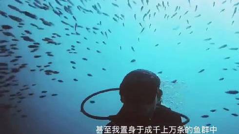 有位网友钓了一条飞鱼然后吃了,被喷得很厉害,然后他做出了这个很酷的回应,用专业的底气来给瞎