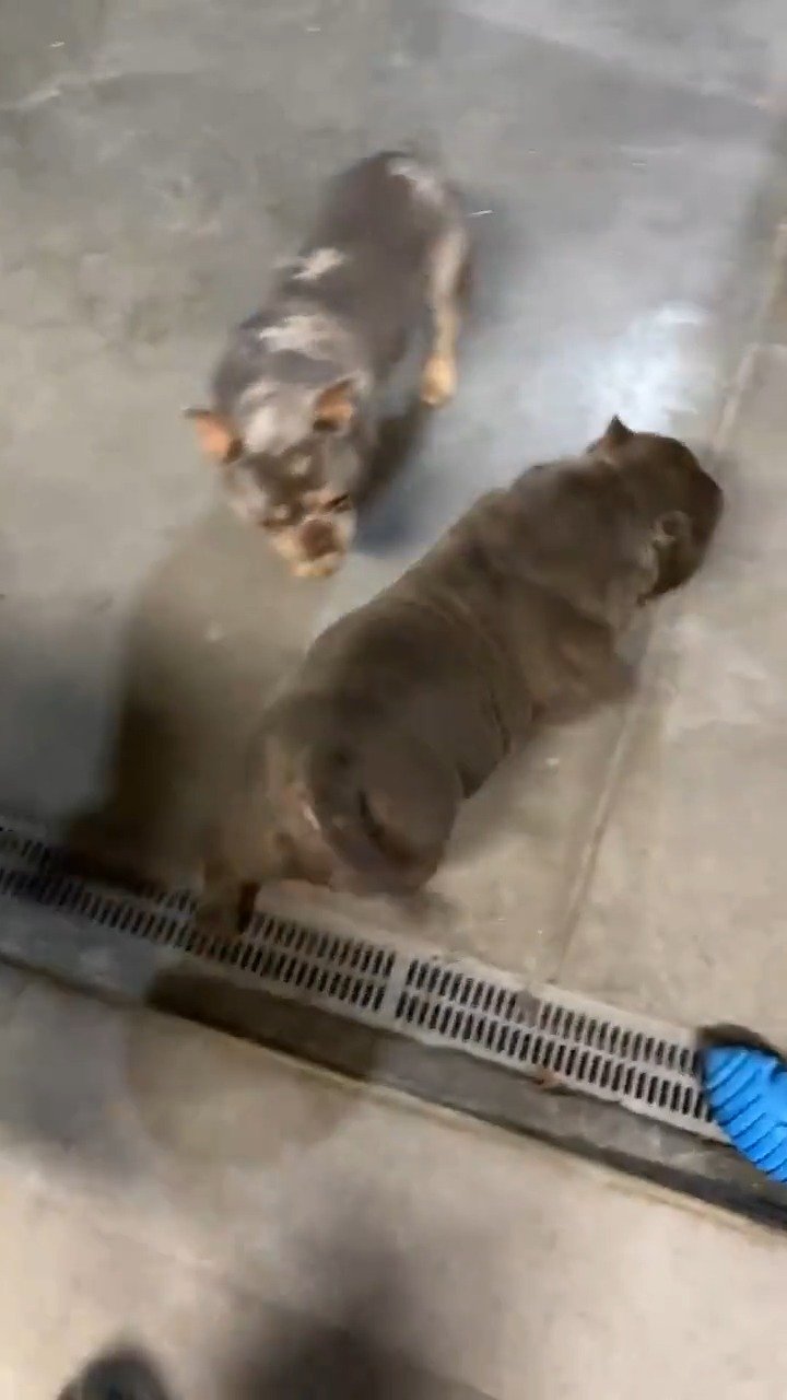 瞧瞧这些健壮的背影,各个都是肌肉型猛男啊~