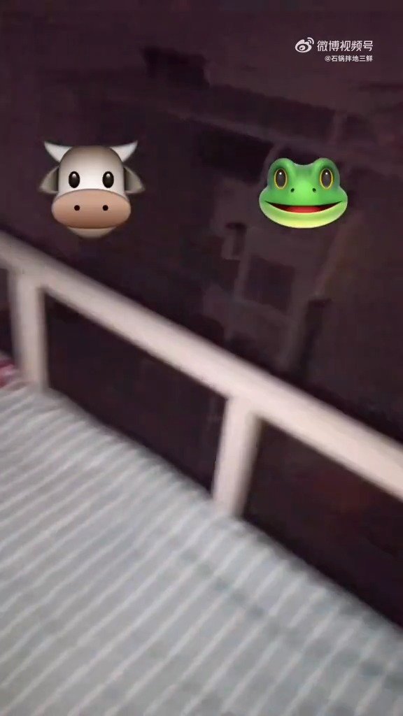 哈哈哈哈哈哈哈哈哈哈哈啊哈哈哈哈青蛙叫就离谱
